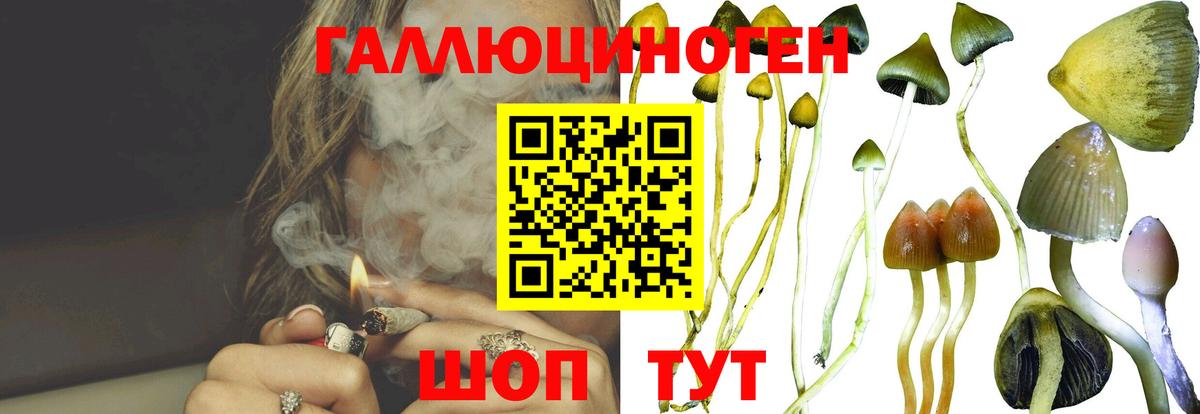 Сергиев Посад  Псилоцибиновые грибы Psilocybe  Галлюциногенные грибы GOLDEN TEACHER  Вход с VPN 